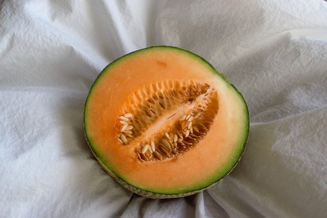 Cantaloupe Spiritual Meaning