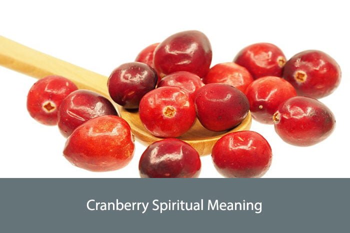 Cranberry Spiritual Meaning