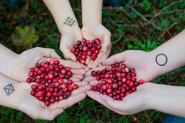 Cranberry Spiritual Meaning