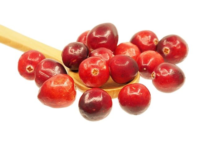 Cranberry Spiritual Meaning