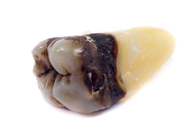 Dog Tooth Calcite Spiritual Meaning