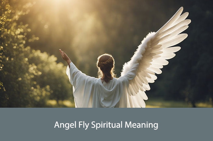 Angel Fly Spiritual Meaning