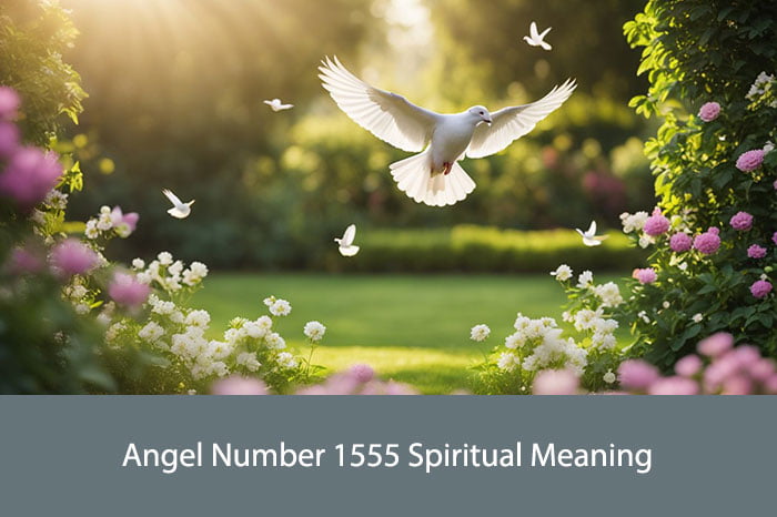 Angel Number 1555 Spiritual Meaning